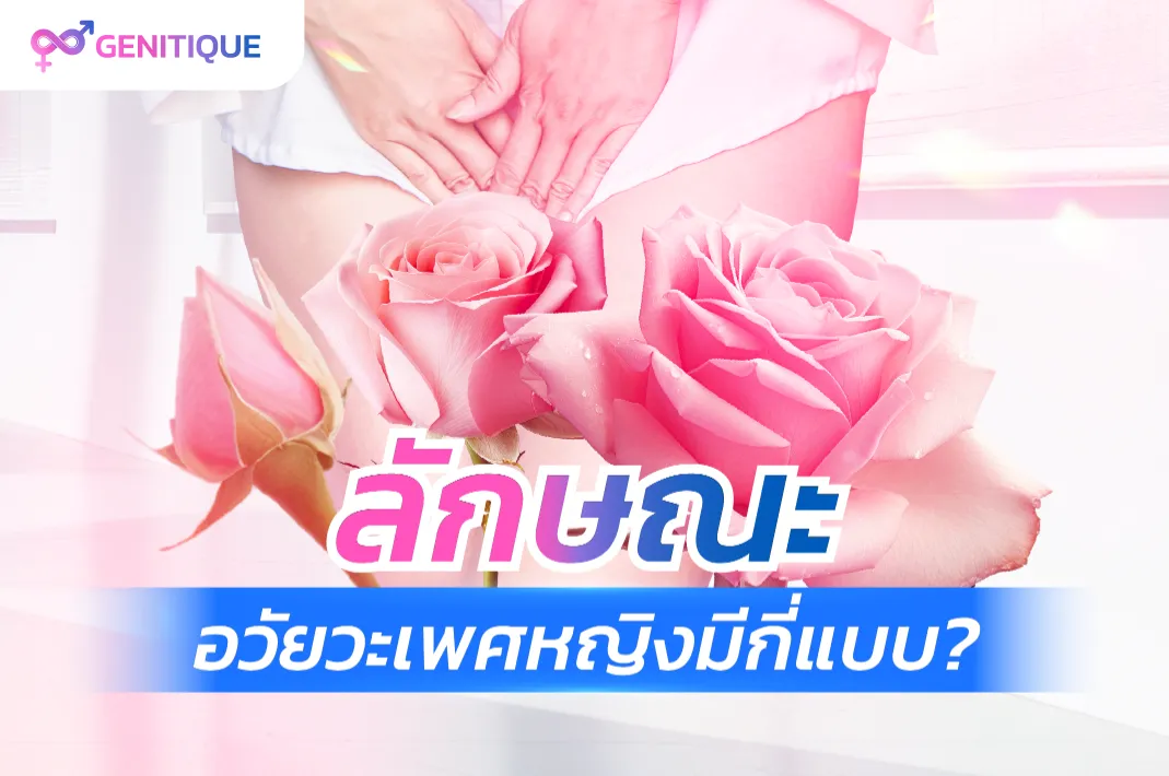 ลักษณะอวัยวะเพศหญิง มีกี่แบบ